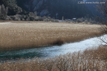 芦花海