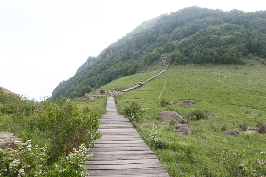 北京百花山风景区