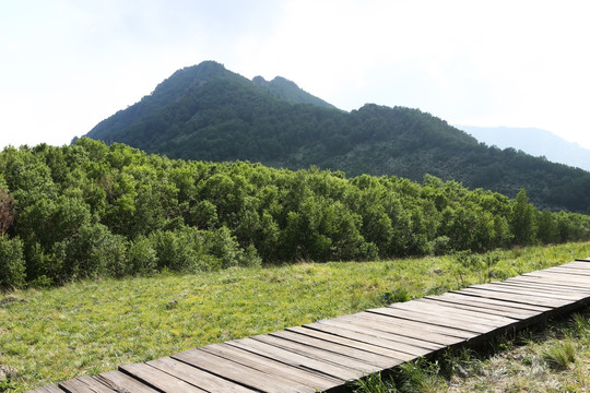 北京百花山风景区