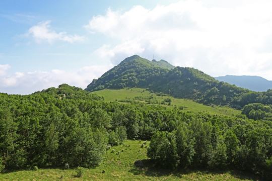 北京百花山风景区