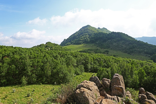 北京百花山风景区