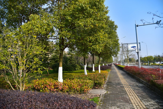 芜湖街景