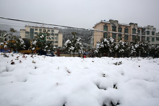 雪景