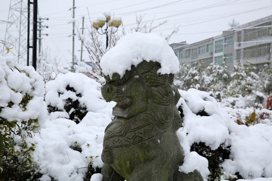 雪景