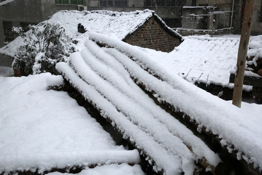 雪景