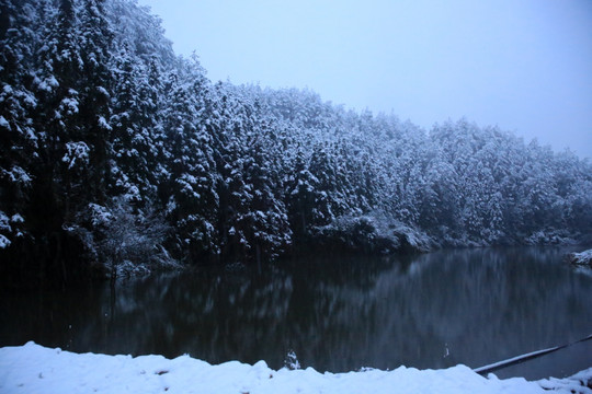 雪景