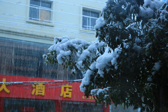 雪景