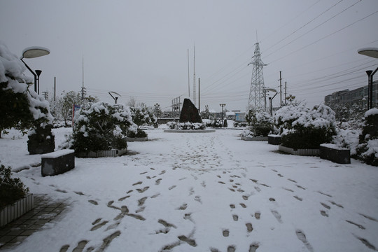 雪景