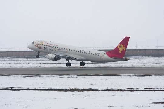 雪天 航班