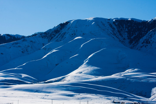 冬天 雪景