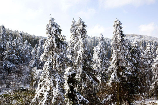 仙女山冬雪景观