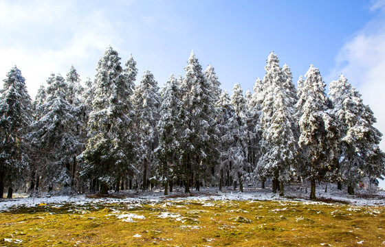 仙女山冬雪景观