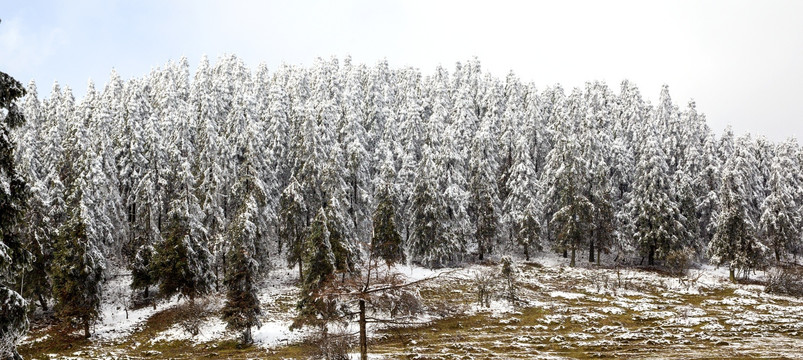 仙女山冬雪景观