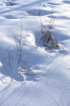 白雪