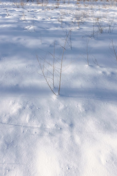 雪景