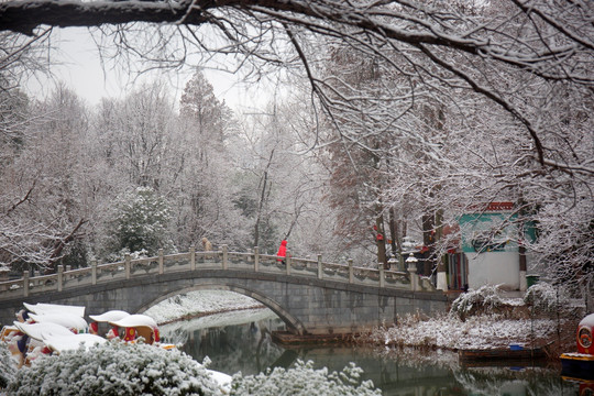 冬雪小景