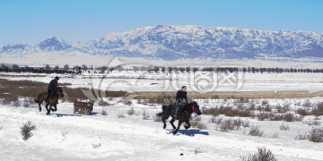 雪地赛马