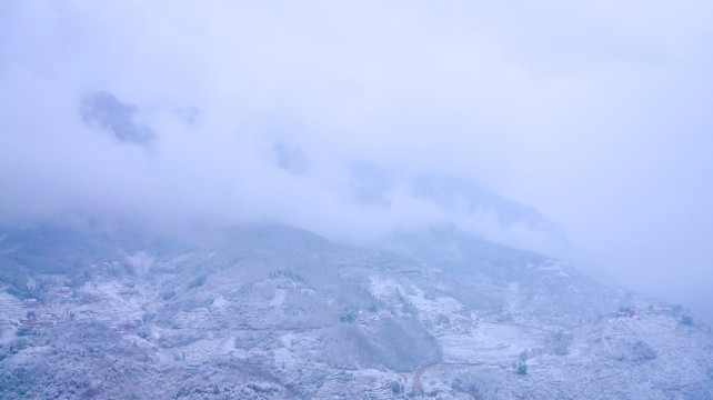 白雾和雪景