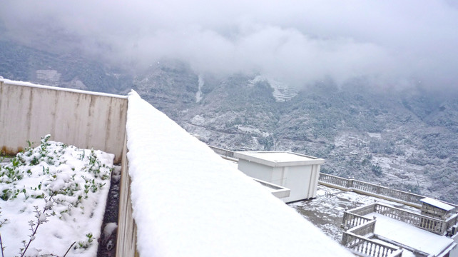 天台白雪