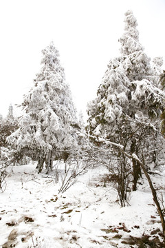 仙女山冬雪景观