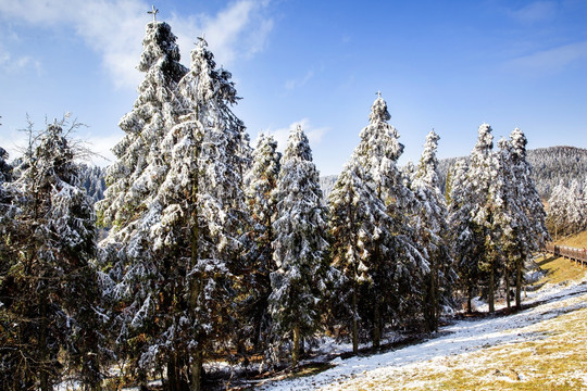 仙女山冬雪景观