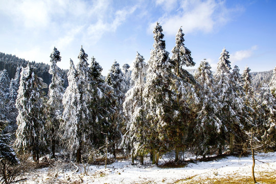 仙女山冬雪景观