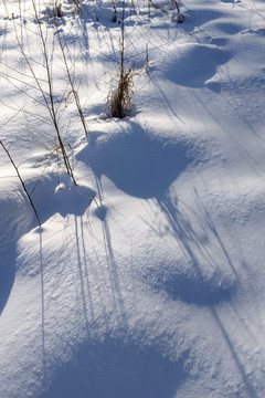 冬雪