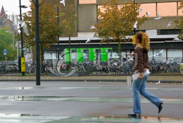 荷兰自行车王国街头小景
