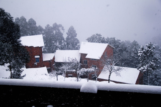 雪景