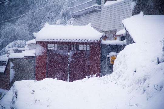 雪景