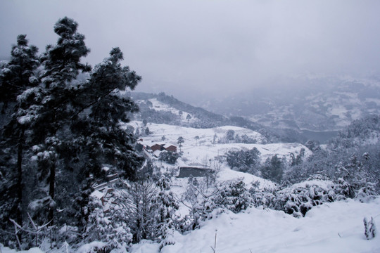 雪景