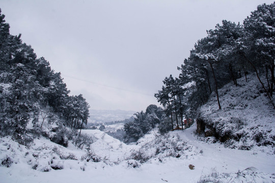 雪景