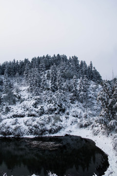 雪景