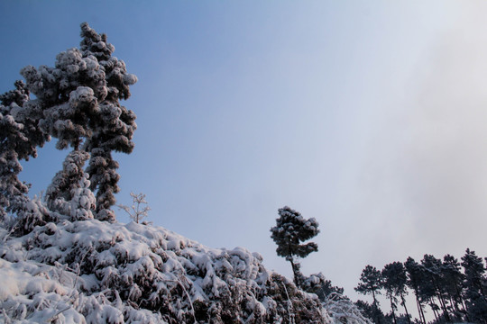 雪景