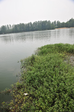河岸风光