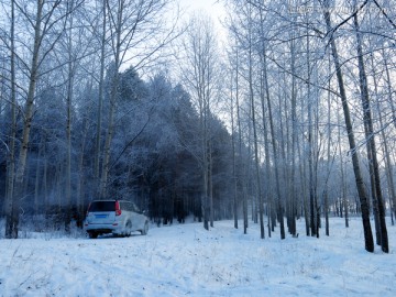 冬季严寒树林与越野车