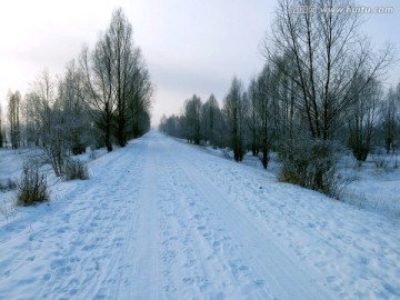 铺满积雪的路