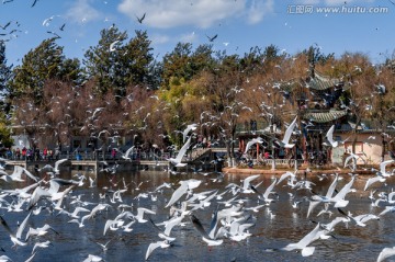 昆明翠湖公园