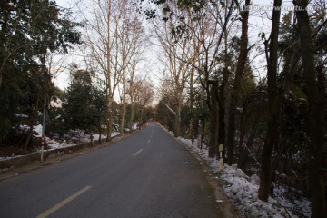 雪地美景幽深道路