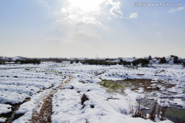 下雪天农田雪地积雪