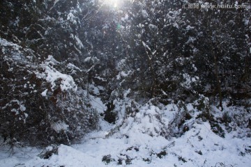 雪地风景 小路 积雪铺地