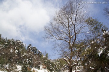 雪地风景 小路 积雪铺地