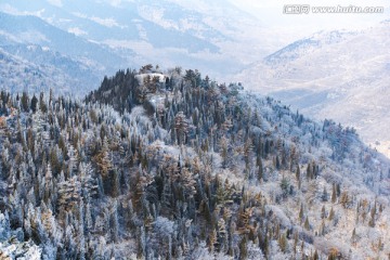 仰天山雾淞 冬 雪 雾淞 雾