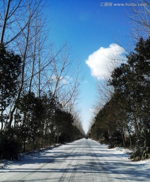 乡村公路雪景