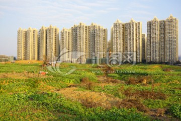 城乡建设高楼在菜地后拔地而起