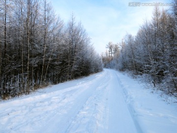 冬季森林积雪道路