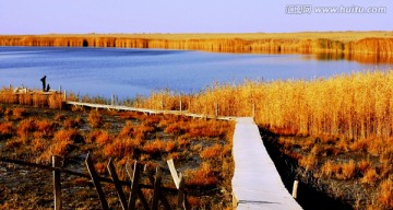 鱼湖秋景