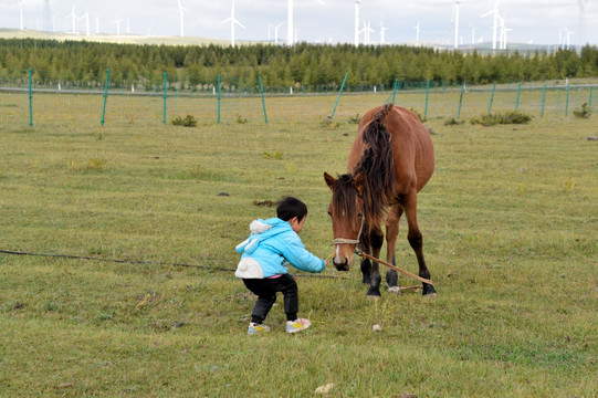 少年与马