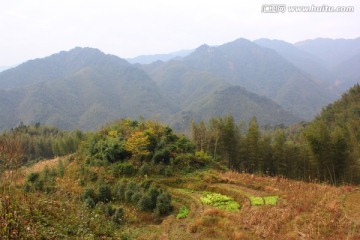 高山