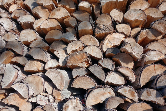 木纹 木材 木头